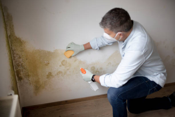 Best Air Quality Testing for Mold Spores  in , NJ
