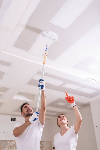 Best Comprehensive Air Testing for Mold Contaminants  in , NJ
