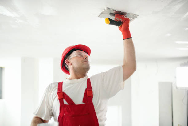 Best Black Mold Removal  in , NJ