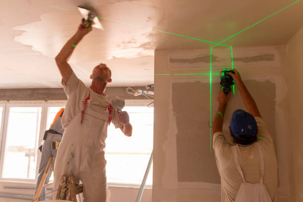 Best Environmental Consulting for Mold Prevention  in , NJ