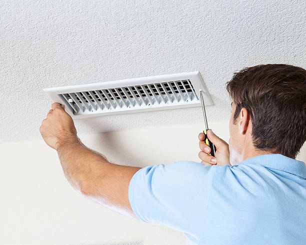 Best Crawl Space Mold Remediation  in , NJ