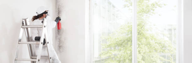 Best Mold Prevention Services  in , NJ