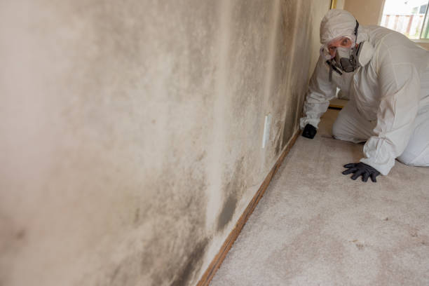 Best Commercial Mold Inspection  in , NJ