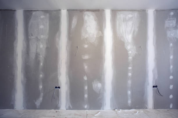 Best Asbestos and Lead Testing During Mold Inspection  in , NJ